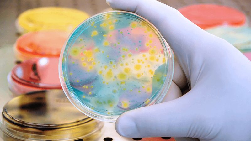 OEM定制移液器：揭秘生物实验室的精细操作利器