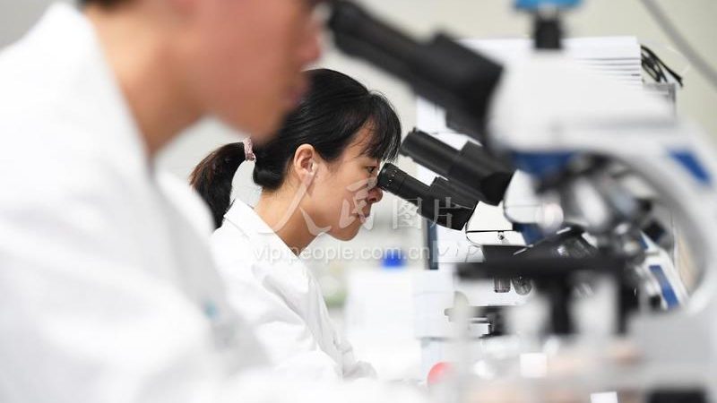 CDMO报价单模板：解码背后的行业逻辑