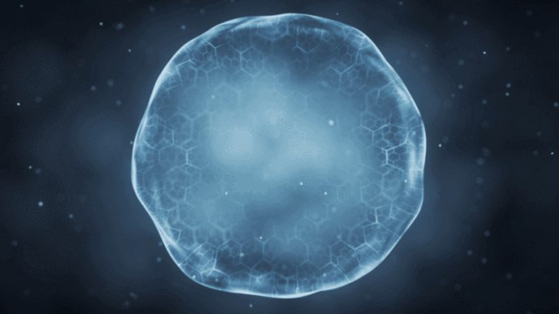 细胞培养皿尺寸规格：揭秘实验室中的微观世界
