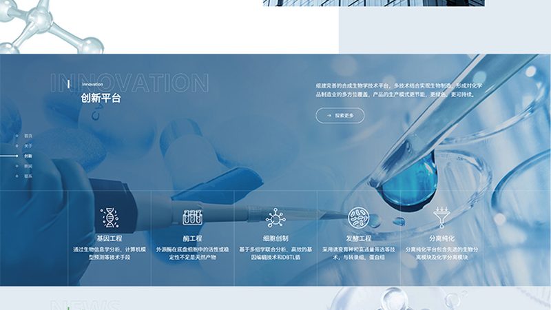 生物科技研发：揭秘从实验室到市场的关键阶段**