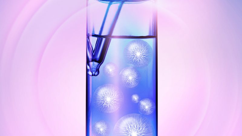 重组抗体：揭秘上海生产服务的关键要素**