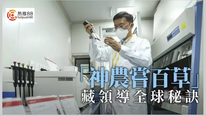 酶制剂在生物制药中的应用：揭秘使用前后之变