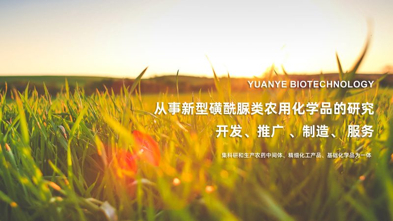 生物科技研发流程：揭秘其周期与关键节点