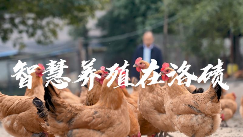 离心力选择：如何准确匹配离心管需求**