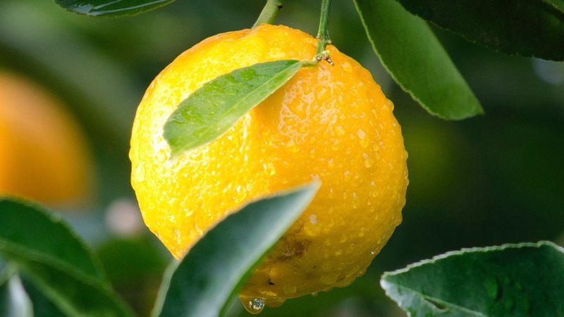 生物医药外包实验室资质：揭秘其背后的秘密
