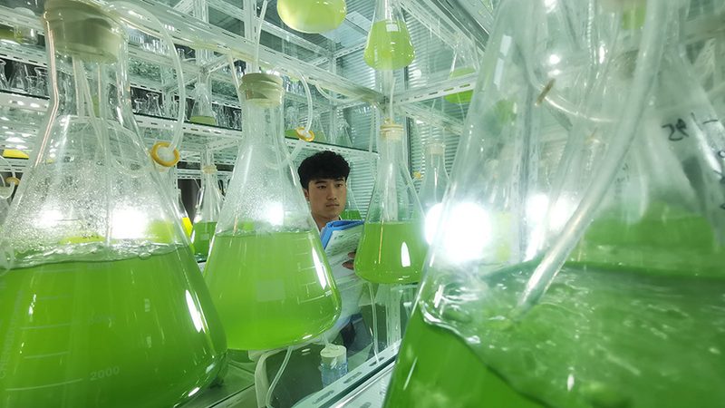 国产试剂与进口试剂：差异解析与选购要点